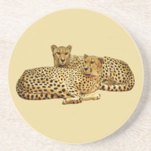 Cheetahs Zandsteen Onderzetter