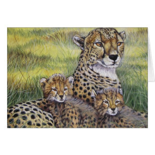 "Cheetha met kubussen"