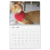Cheeto Dacutecat 2020-kalender Kalender (Mar 2026)