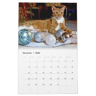 Cheeto Dacutecat 2020-kalender Kalender