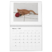 Cheeto Dacutecat 2020-kalender Kalender (Feb 2027)