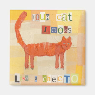 Cheeto Kat magneet