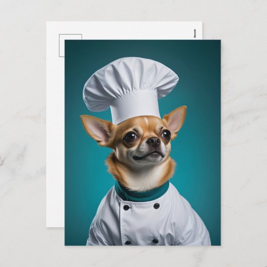 Chef Chihuahua Feestdagenkaart (Voorkant / Achterkant)