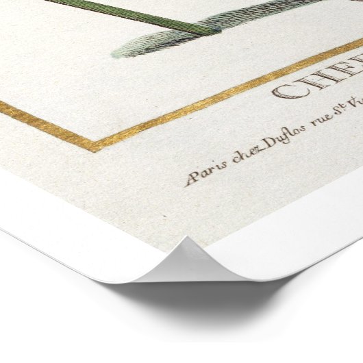 Chef der Hondurezen, 1780 (gekleurd) Poster (Hoek)