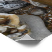 Chef is speciaal. poster (Hoek)