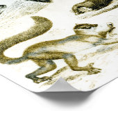 Cheiroptera, Insectivora Poster (Hoek)