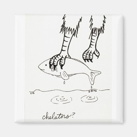 Chelators magneet (Voorkant)