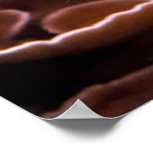 Chelmon rostratus poster (Hoek)