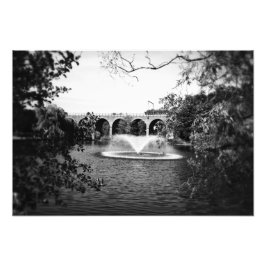 Chelmsford Viaduct, Essex Foto Afdruk