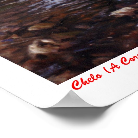 Chelo (A Coruña) Poster (Hoek)