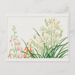 Chelone barbata, ornithogalum door Tanigami Konan Briefkaart