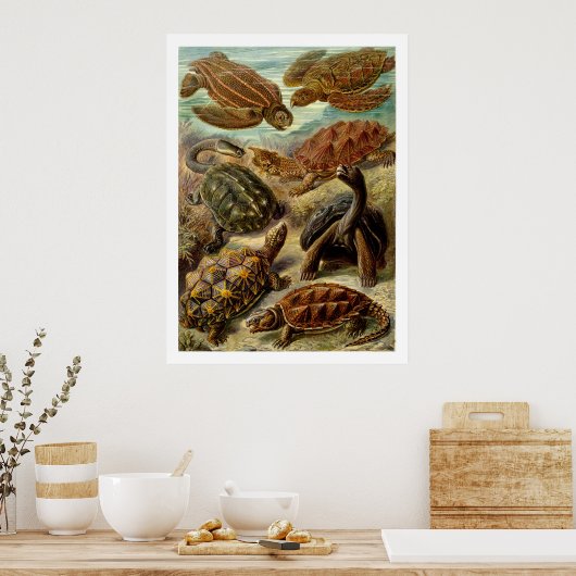 Chelonia-Poster Poster (Keuken)