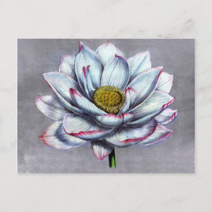  chemicaliën Indische Lotus Flower Briefkaart
