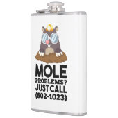 Chemie - Mole problemen Heupfles (Links)