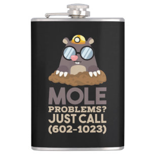 Chemie - Mole problemen Heupfles