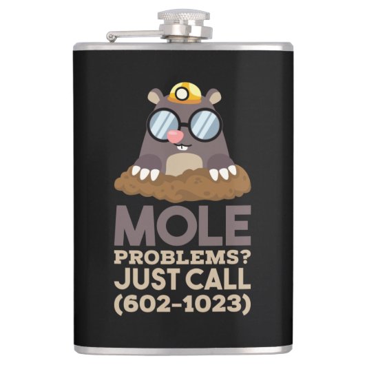 Chemie - Mole problemen Heupfles (Voorkant)