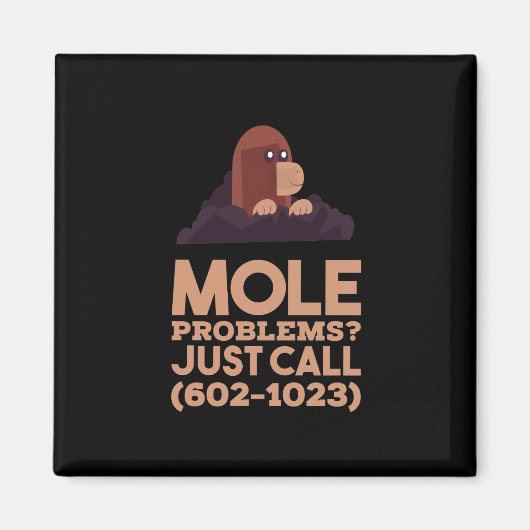 Chemie - Mole problemen Magneet (Voorkant)