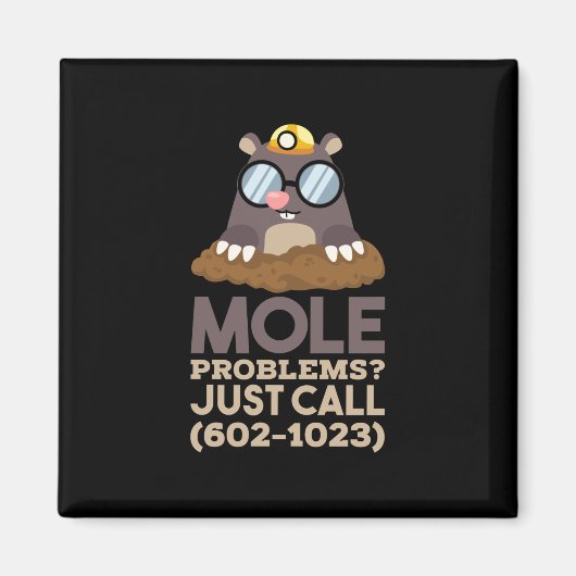 Chemie - Mole problemen Magneet (Voorkant)