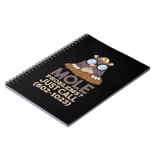 Chemie - Mole problemen Notitieboek (Linkerzijde)