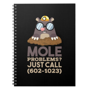Chemie - Mole problemen Notitieboek