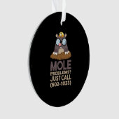 Chemie - Mole problemen Ornament (voorkant)
