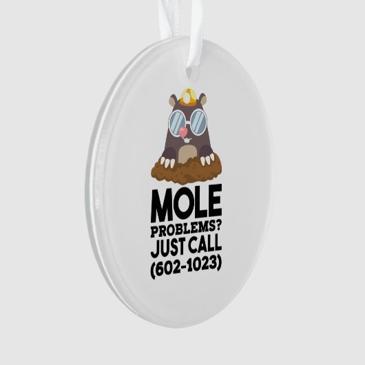 Chemie - Mole problemen Ornament (voorkant)