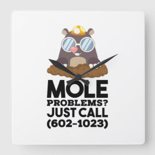 Chemie - Mole problemen Vierkante Klok