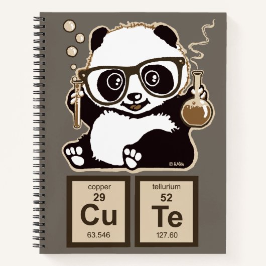 Chemie panda ontdekte schattig notitieboek (Voorkant)