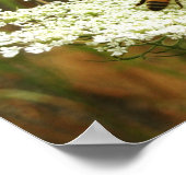 Chemie Poster (Hoek)