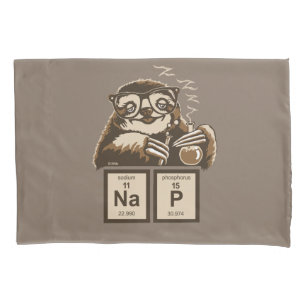 Chemistry sloth heeft een dutje ontdekt kussensloop