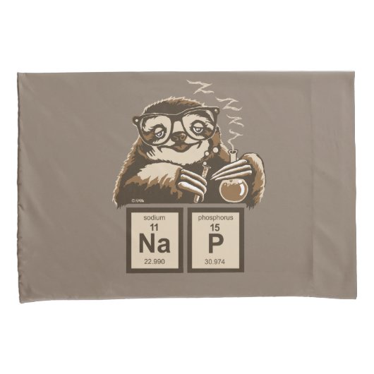 Chemistry sloth heeft een dutje ontdekt kussensloop (Voorkant-Rechts)