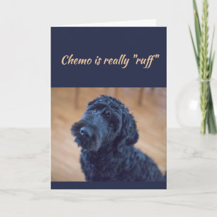 Chemo is Ruff Cute Black Curly Dog Pet Kaart