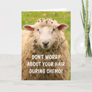 Chemo Support Funny Sheep Kaart