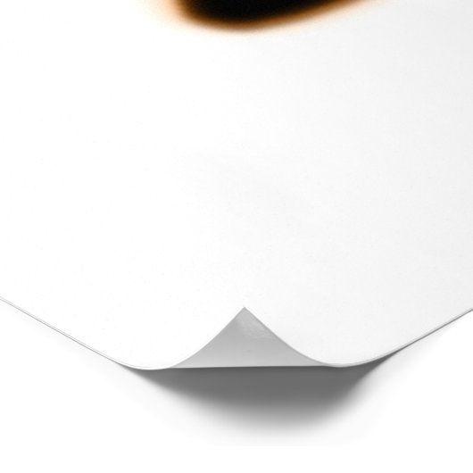 Chen Tai Ji Poster (Hoek)