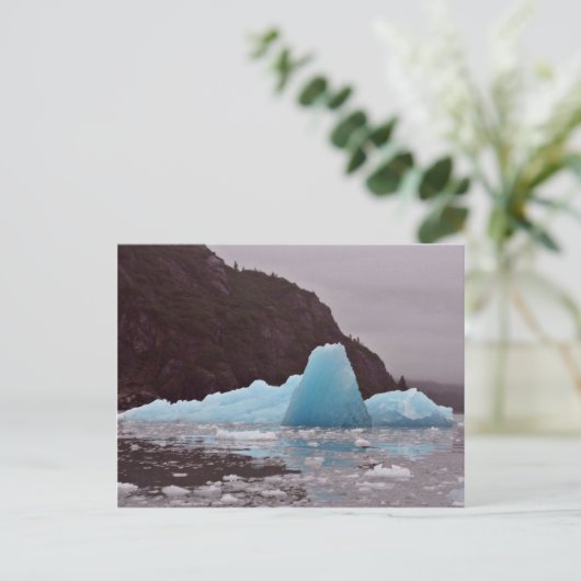 Chenegijijs Briefkaart (Staand voorkant)