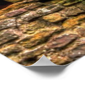 Chepstow Castle Window II, Monmouthshire, Wales Poster (Hoek)