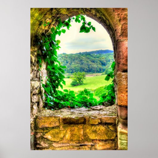 Chepstow Castle Window II, Monmouthshire, Wales Poster (Voorkant)