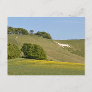 Cherhill, Wiltshire, Engeland Chalk Horse Briefkaa Briefkaart