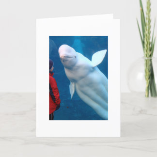 Cherish (film) kaart