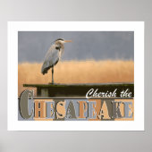 Cherish the Chesapeake Poster (Voorkant)