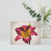 Cherokee Heritage Daylily Briefkaart (Staand voorkant)