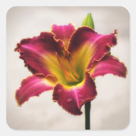 Cherokee Heritage Daylily Vierkante Sticker