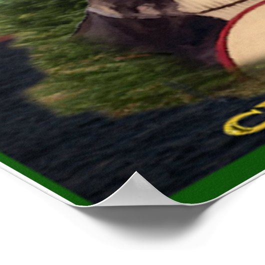 Cherokee Indian poster (Hoek)