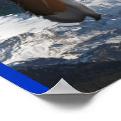 Cherokee Indian poster (Hoek)