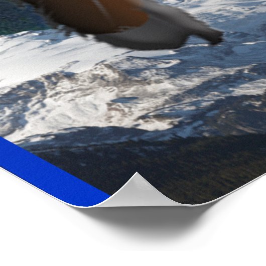 Cherokee Indian poster (Hoek)