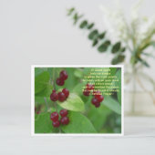 Cherokee Prayer Briefkaart (Staand voorkant)