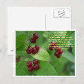 Cherokee Prayer Briefkaart (Voorkant / Achterkant)