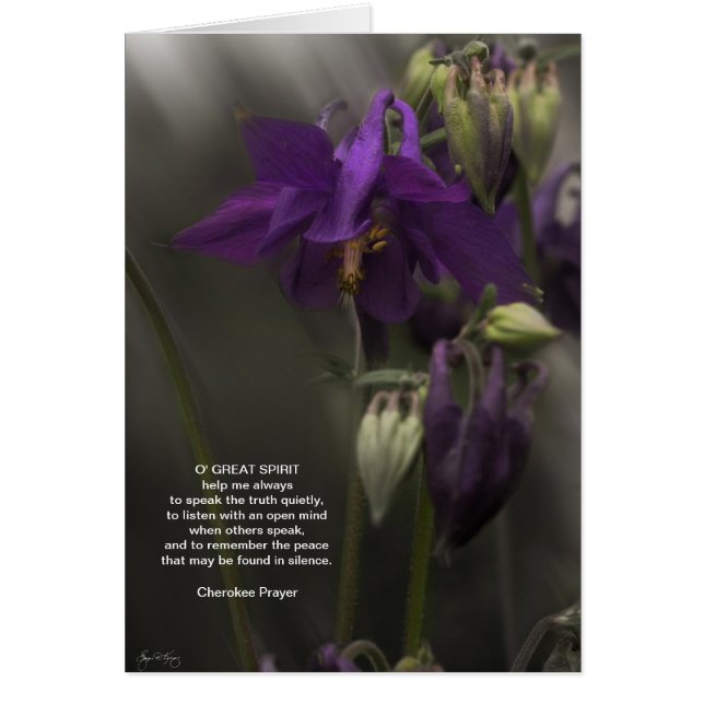 Cherokee Prayer, Columbine in the Sunlight (Voorkant)