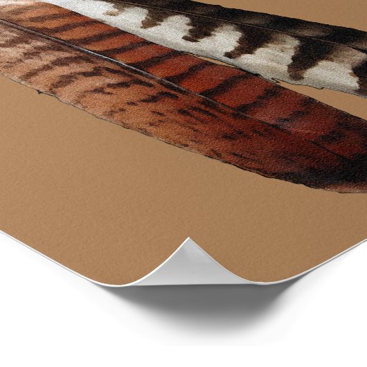 Cherokee Pride Poster (Hoek)