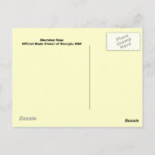 Cherokee Roos Briefkaart (Achterkant)